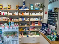 Farmacia Miguel Araújo