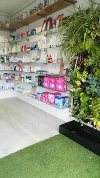 Farmacia de Ayala