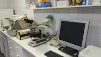 Farmacia
