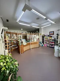 Farmacia Belvís de la Jara Ldo. Francisco J. Del Cerro Cabello