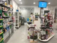 Farmacia Sigrás Anceis