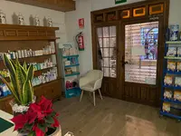 Farmacia Mercedes González Sánchez