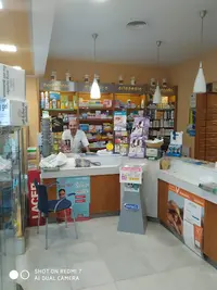 Molina Luque Laura Mg
