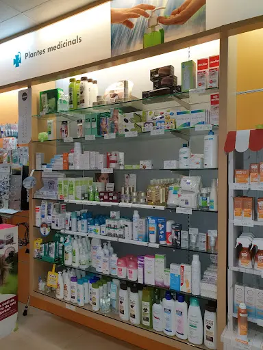 Farmacia Farmàcia Rocamora Batalla
