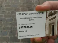 Purificación Gómez Álvarez Salinas
