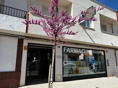 Farmacia Ana María Carlavilla Noguera