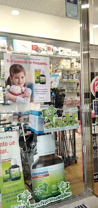 Vidal Rocha Claudia