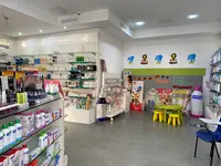 Farmacia Campamento