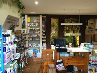 Farmacia Isabel Toledo Gotor